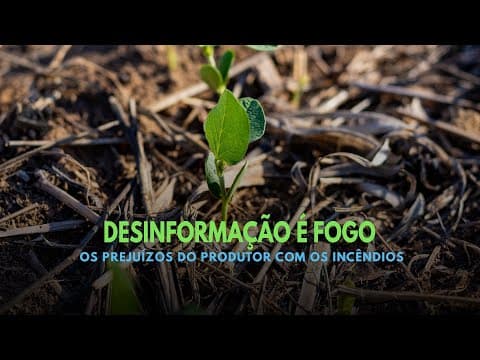 Desinformação é Fogo - Os prejuízos do produtor com os incêndios