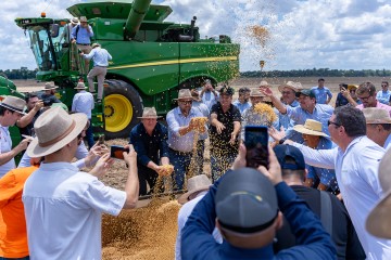 Abertura Nacional da Colheita da Soja Safra 24/25