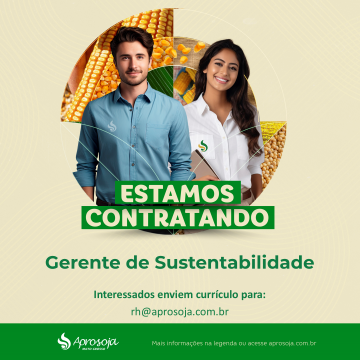 Gerente de Sustentabilidade